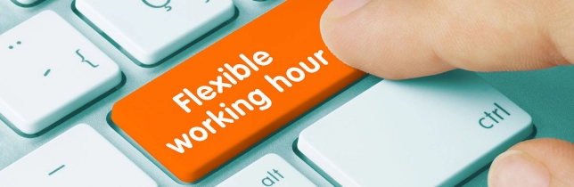 Mandy Technoliges - Flexible Hours