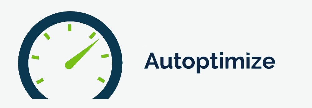 autoptimize-plugin