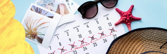 Mandy Technologies - Paid Holidays